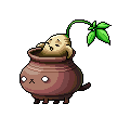 Ginseng Jar's thumbnail